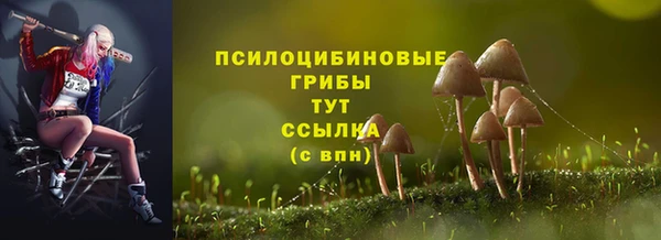 mix Няндома