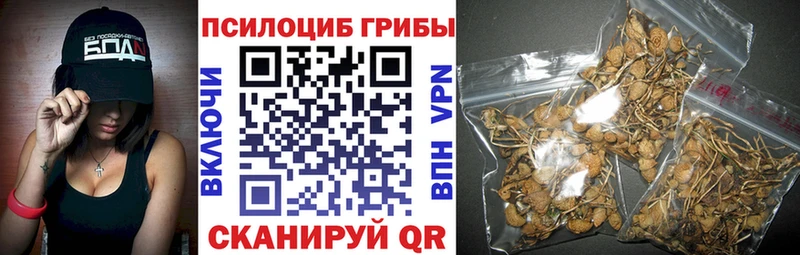 MEGA сайт Лакинск Псилоцибиновые грибы мицелий цена наркотик